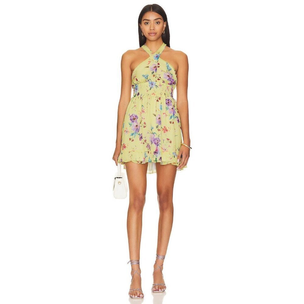 Rays for Days Louise Chiffon Mini Dress Love Bird Floral Womens Size Small